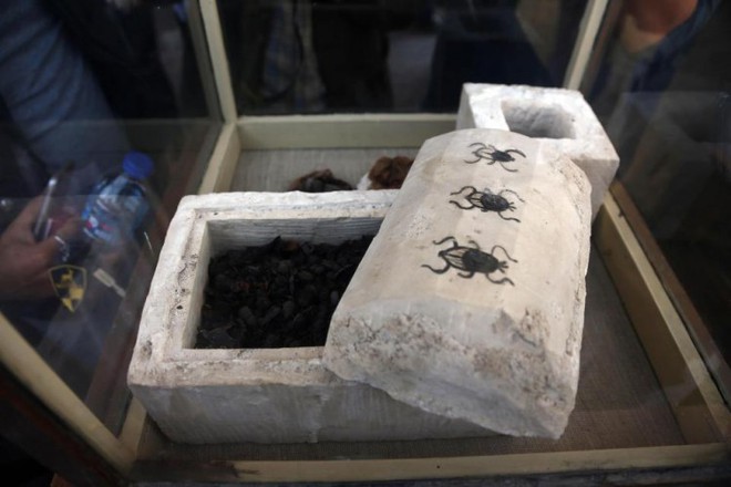 Phát hiện hàng chục xác ướp mèo trong ngôi mộ cổ ở Ai Cập - Ảnh 3.