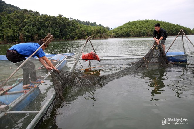 Những chàng “Robinson” trên hồ Hủa Na - Ảnh 4.