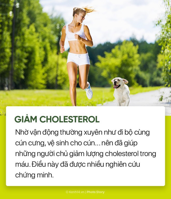 Nuôi cún cưng không chỉ giúp bạn vui vẻ mà còn chống lại rất nhiều bệnh tật - Ảnh 2.