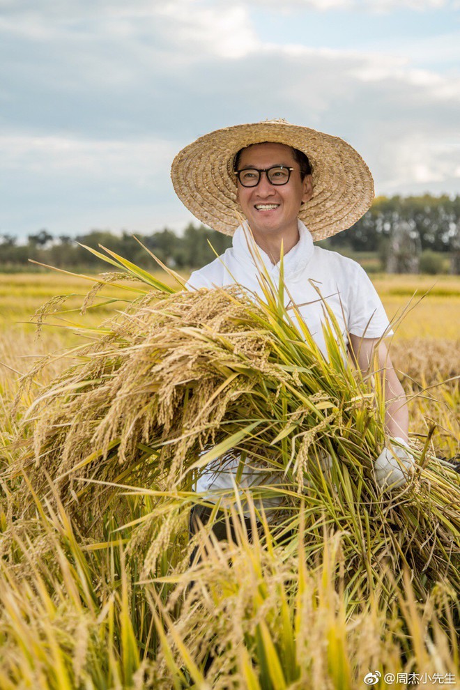 Không hề nghèo khó, Nhĩ Khang Châu Kiệt hạnh phúc với cuộc sống làm nông dân trồng lúa - Ảnh 11.