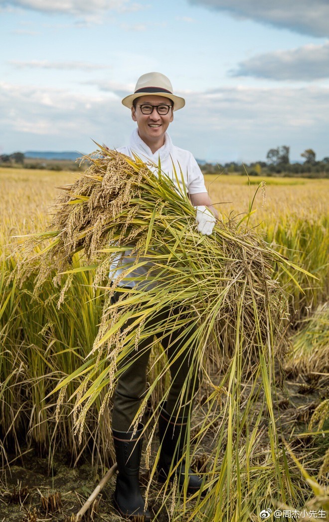 Không hề nghèo khó, Nhĩ Khang Châu Kiệt hạnh phúc với cuộc sống làm nông dân trồng lúa - Ảnh 12.