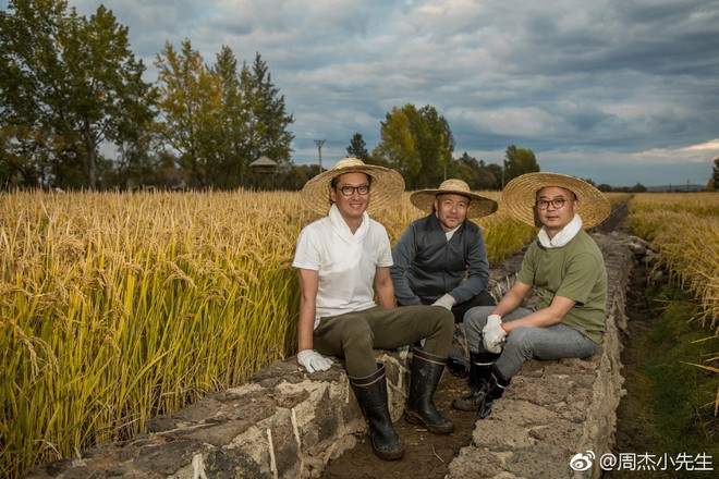 Không hề nghèo khó, Nhĩ Khang Châu Kiệt hạnh phúc với cuộc sống làm nông dân trồng lúa - Ảnh 13.