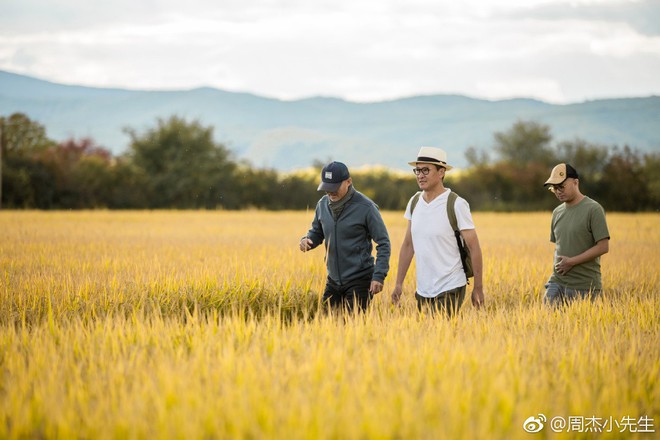 Không hề nghèo khó, Nhĩ Khang Châu Kiệt hạnh phúc với cuộc sống làm nông dân trồng lúa - Ảnh 6.