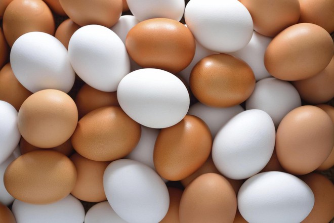 Tại sao trứng chim có nhiều màu sắc sặc sỡ đến vậy? - Ảnh 1.