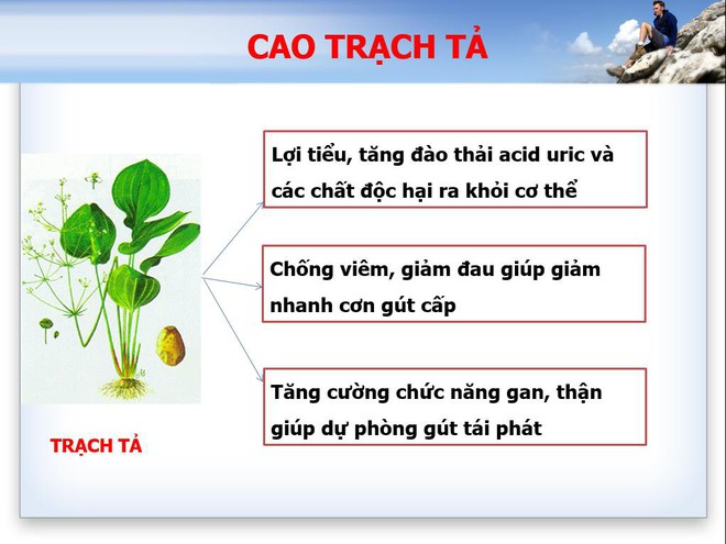 Tình trạng trẻ hóa bệnh gout và xu hướng hỗ trợ từ các thảo dược thiên nhiên ở Việt Nam - Ảnh 4.