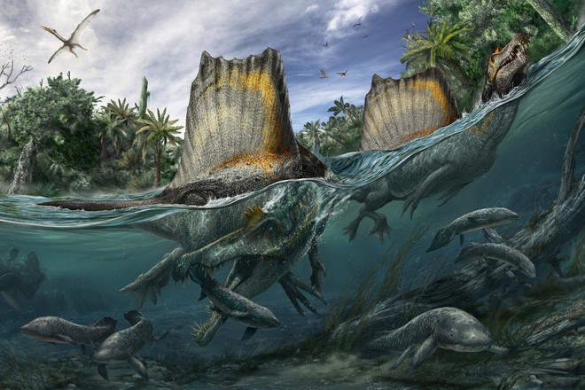 Spinosaurus - loài khủng long kỳ cục nhất thời cổ đại: Săn cá như thần mà không thể bơi lội - Ảnh 1.