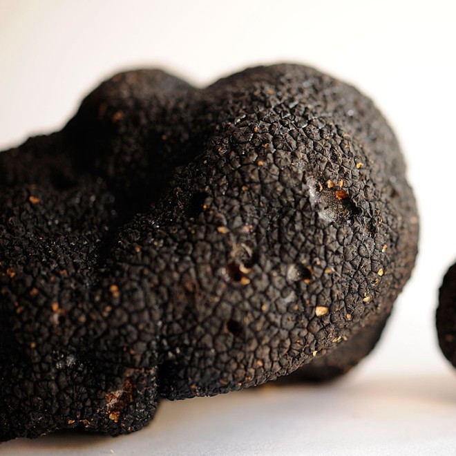 Truffle - loại nấm đắt nhất thế giới, thần dược phòng the, kim cương đen của nền ẩm thực: 140 triệu/kg - Ảnh 2.