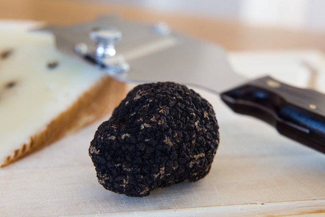 Truffle - loại nấm đắt nhất thế giới, thần dược phòng the, kim cương đen của nền ẩm thực: 140 triệu/kg - Ảnh 3.