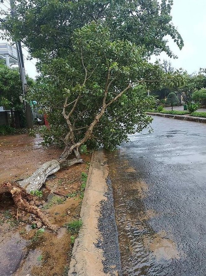 Bão số 9: Đang mưa lớn ở đảo Phú Quý, Cần Giờ, lãnh đạo TP Vũng Tàu gõ cửa từng nhà dân vận động sơ tán - Ảnh 4.