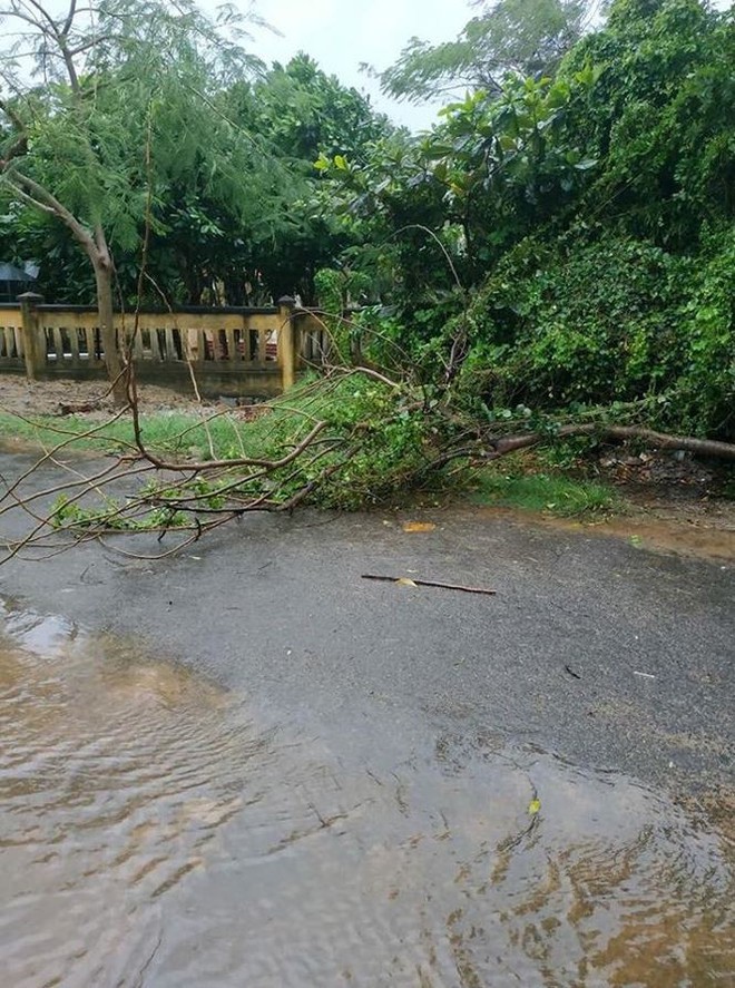 Bão số 9: Đang mưa lớn ở đảo Phú Quý, Cần Giờ, lãnh đạo TP Vũng Tàu gõ cửa từng nhà dân vận động sơ tán - Ảnh 2.