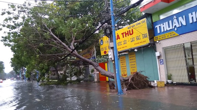 Gió mạnh cấp 8 đổ bộ vào Vũng Tàu, cây xanh gãy đổ hàng loạt - Ảnh 3.