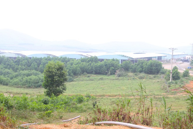 Cảnh tan hoang tại siêu dự án nuôi bò ở Hà Tĩnh được BIDV cho vay nghìn tỷ - Ảnh 11.