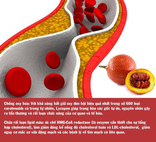 Lycopen và Beta-Caroten: Cặp bài trùng dưỡng chất giúp cơ thể khoẻ đẹp hơn mỗi ngày - Ảnh 2.