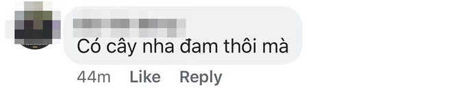 Đăng ảnh tìm kẻ ăn trộm, người đàn ông bị chửi ngược sân si vì đồ bị mất giá trị nhỏ - Ảnh 4.