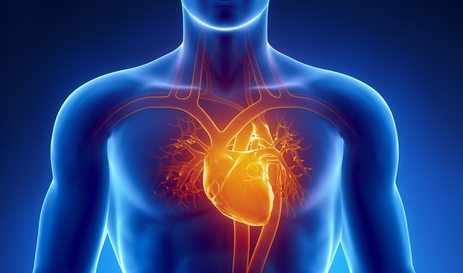 3 thời điểm vàng để chăm sóc dạ dày, tim và mạch máu: Nếu muốn khỏe hãy áp dụng ngay! - Ảnh 3.