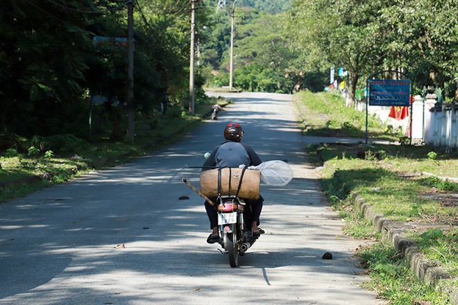 Căng tai, dõi mắt đi săn ong rừng - Ảnh 1.