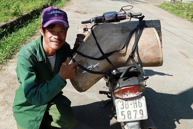 Căng tai, dõi mắt đi săn ong rừng - Ảnh 11.