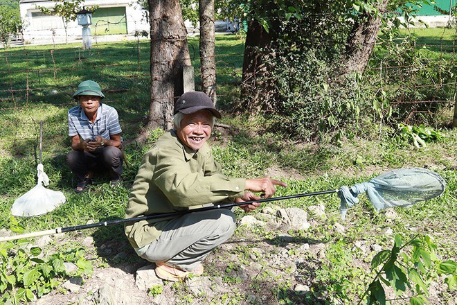 Căng tai, dõi mắt đi săn ong rừng - Ảnh 13.