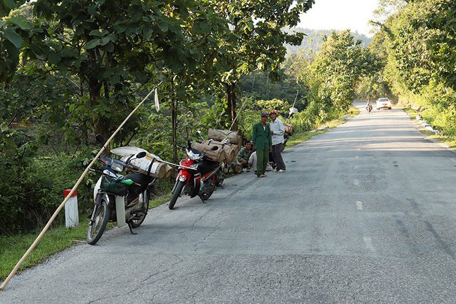 Căng tai, dõi mắt đi săn ong rừng - Ảnh 3.