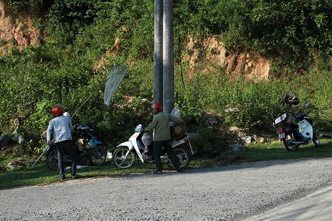 Căng tai, dõi mắt đi săn ong rừng - Ảnh 6.