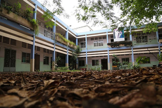 Ngôi trường tiểu học bỏ hoang gần 3 năm ở TP.HCM - Ảnh 2.