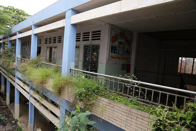 Ngôi trường tiểu học bỏ hoang gần 3 năm ở TP.HCM - Ảnh 18.