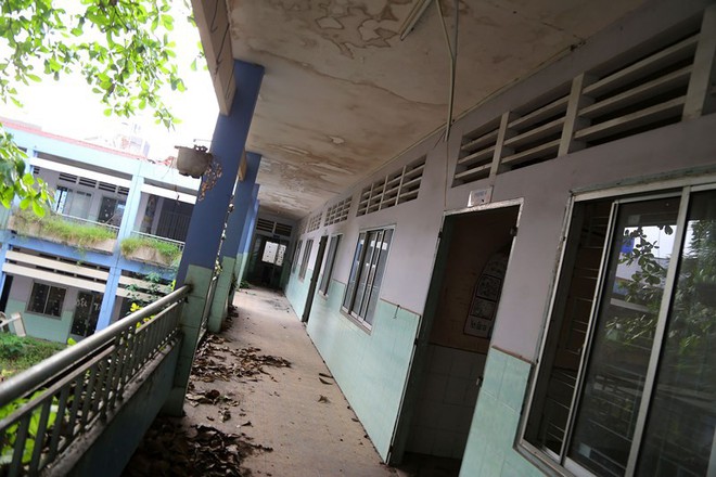 Ngôi trường tiểu học bỏ hoang gần 3 năm ở TP.HCM - Ảnh 4.