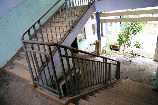 Ngôi trường tiểu học bỏ hoang gần 3 năm ở TP.HCM - Ảnh 5.