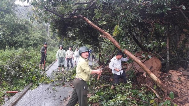 Bán đảo Sơn Trà sạt lở nghiêm trọng, đất đá lao xuống đường - Ảnh 3.