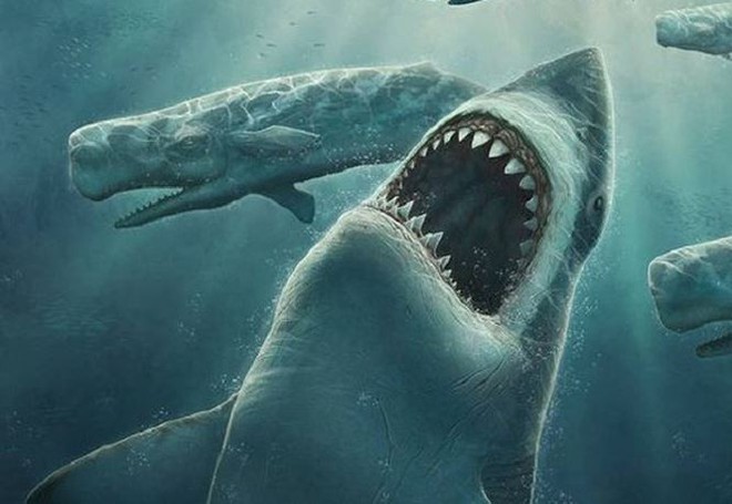 Điều gì giúp cá mập trở thành ‘sát thủ đại dương’?  - Ảnh 1.