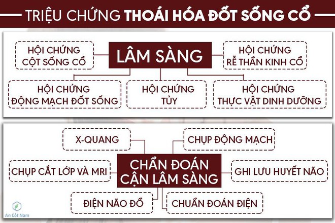 Thoái hóa đốt sống cổ: Nguyên nhân, triệu chứng và cách chữa trị không đụng dao kéo - Ảnh 2.