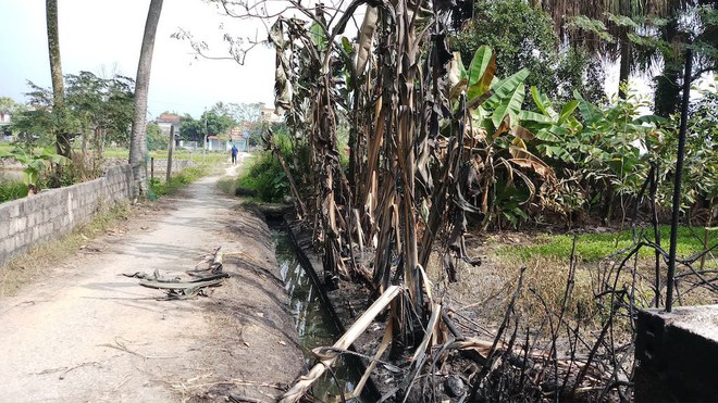 Vụ hàng nghìn lít dầu tràn ở Thanh Hóa: Dân làng đổ xô mang can ra hớt dầu - Ảnh 3.