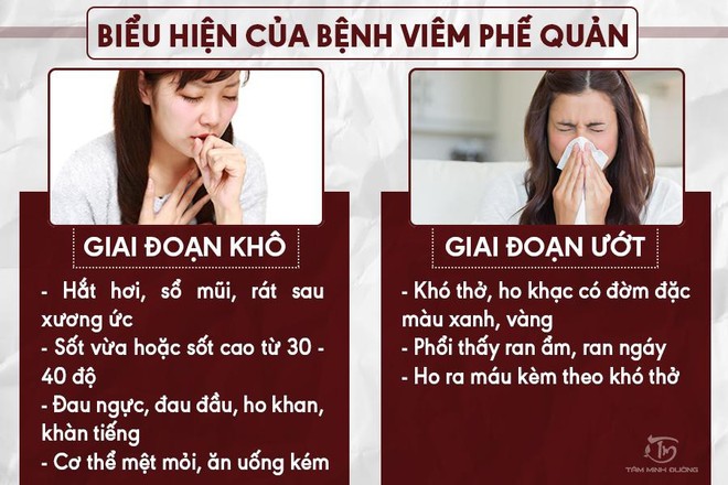 Viêm phế quản phổi, cấp và mãn tính là gì? Cách chữa bệnh hiệu quả - Ảnh 1.