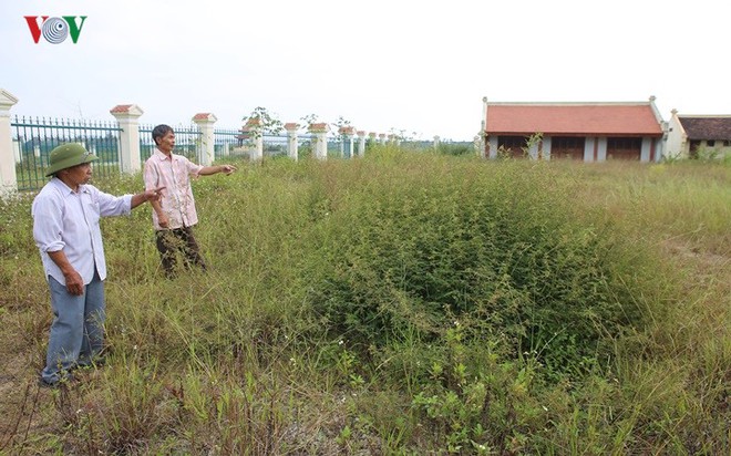 Ảnh: “Hoang tàn” di tích cấp quốc gia 25 tỷ chưa hẹn ngày hoàn thành - Ảnh 8.