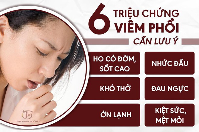 Viêm phổi là gì? Nguyên nhân và cách chữa viêm phổi cấp, thùy, kẽ - Ảnh 1.