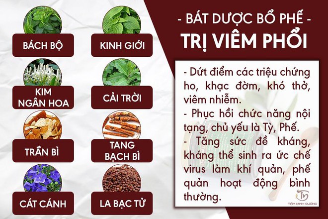 Viêm phổi là gì? Nguyên nhân và cách chữa viêm phổi cấp, thùy, kẽ - Ảnh 3.