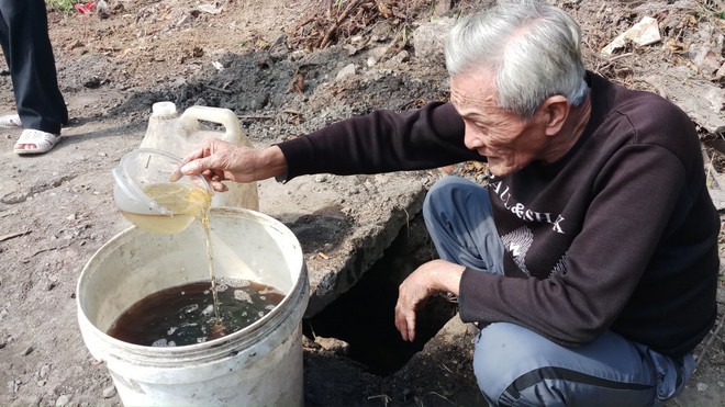 Sự cố dầu tràn ở Thanh Hóa: Cây héo rũ, cá tôm chết nổi đầy đồng - Ảnh 5.