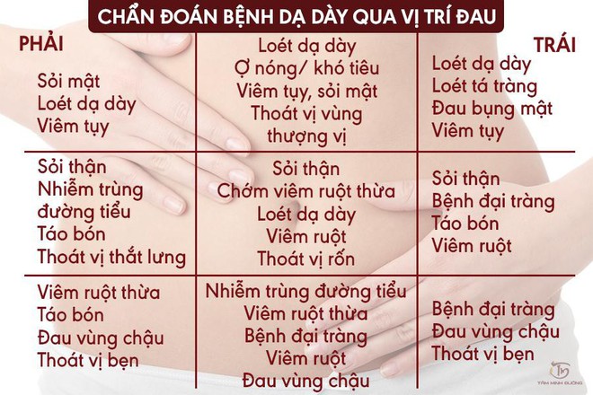 Đau dạ dày: Điều trị bệnh tận gốc nhờ lục vị thảo dược - Ảnh 1.