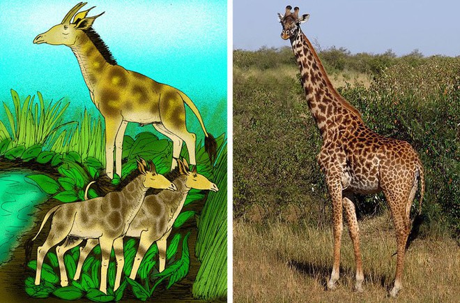 Chẳng ai ngờ được 9 loài vật cực quen thuộc này thời xưa lại có ngoại hình dị đến mức không thể tin nổi - Ảnh 3.