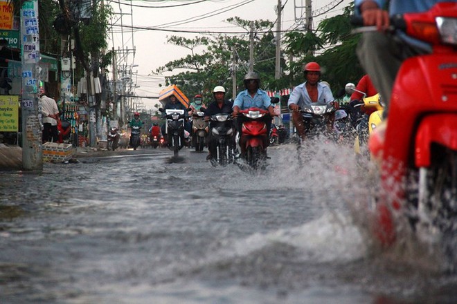 TP.HCM ngập sâu chiều cuối tuần vì triều cường dâng cao - Ảnh 1.