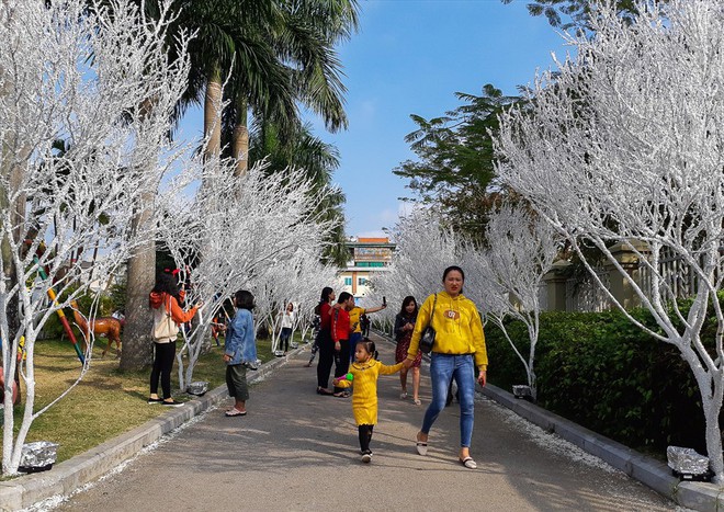 Dòng người đổ về địa điểm đón Giáng sinh lý tưởng nhất TP. Thanh Hóa - Ảnh 8.