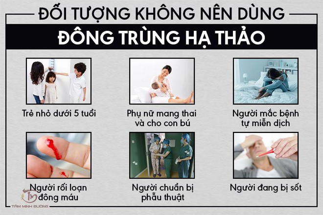 Đông trùng hạ thảo là gì? Phân loại, tác dụng và cách dùng chuẩn chỉ - Ảnh 2.