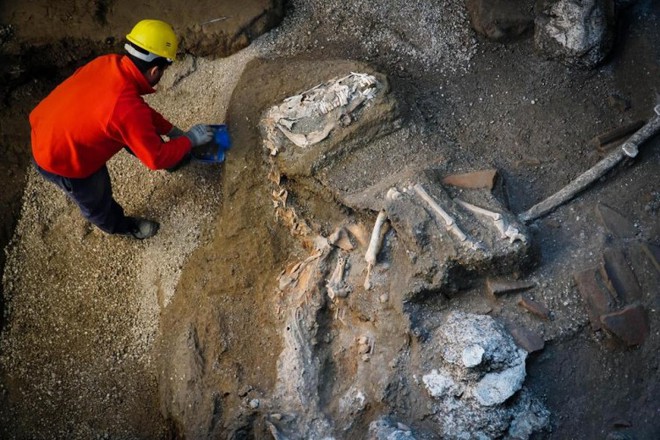 Phát hiện xác ngựa còn nguyên yên cương gần 2.000 năm sau thảm họa núi lửa Vesuvius - Ảnh 1.