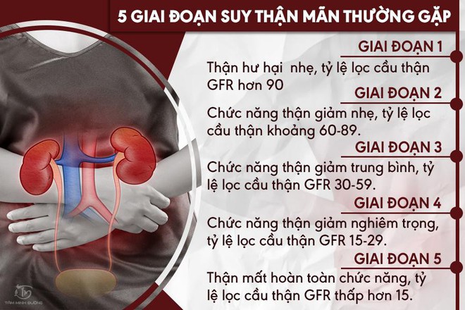 Suy thận cấp và mãn tính là gì ? Nguyên nhân và cách chữa bệnh - Ảnh 2.