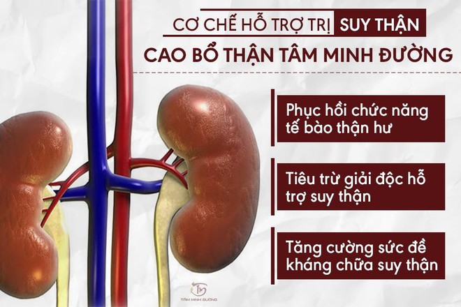 Suy thận cấp và mãn tính là gì ? Nguyên nhân và cách chữa bệnh - Ảnh 3.