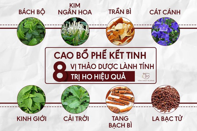 Cách chữa trị ho khan, ho có đờm lâu ngày hiệu quả tại nhà - Ảnh 4.