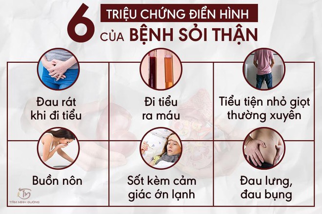 Sỏi thận là gì? Nguyên nhân và cách điều trị bệnh hiệu quả - Ảnh 1.