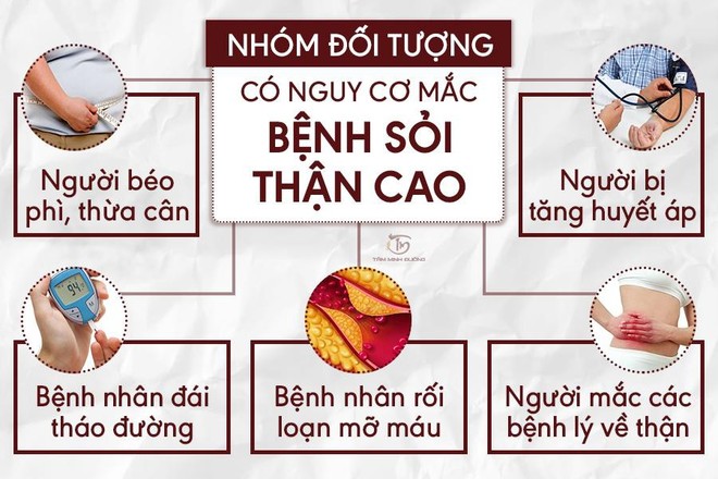 Sỏi thận là gì? Nguyên nhân và cách điều trị bệnh hiệu quả - Ảnh 2.