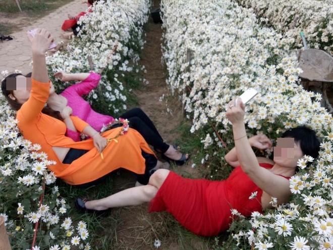 Ba người phụ nữ nằm đè bẹp luống hoa cúc họa mi, vắt chân selfie gây bức xúc - Ảnh 1.