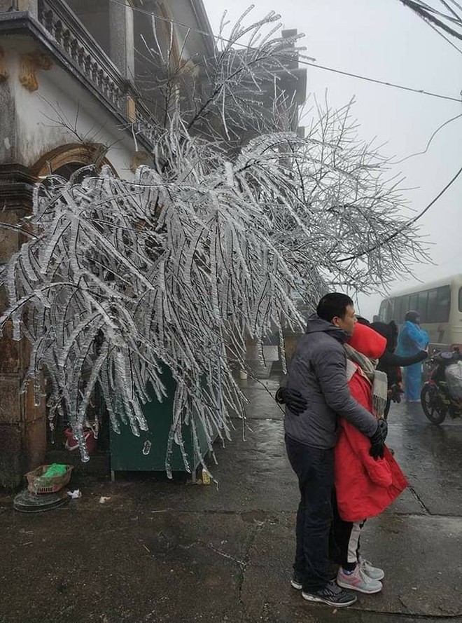 Hình ảnh băng tuyết bao phủ đỉnh Mẫu Sơn trong ngày rét đỉnh điểm - Ảnh 12.